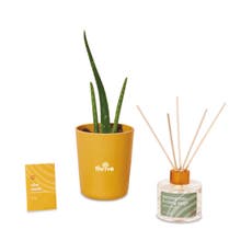 Modern Sprout Find Balance Take Care Kit - Aloe
