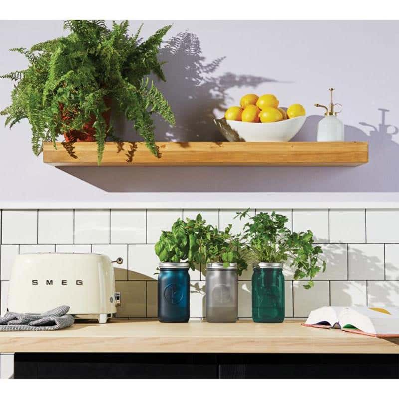 Modern Sprout&reg; Indoor Herb Garden Kit