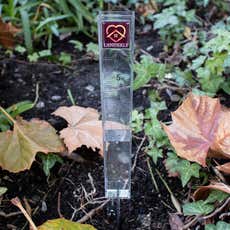 Plastic Domed Rain Gauge - 6"