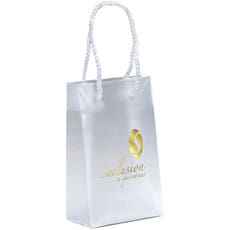 Frosted Plastic Bag with Rope Handles - 8" x 10"